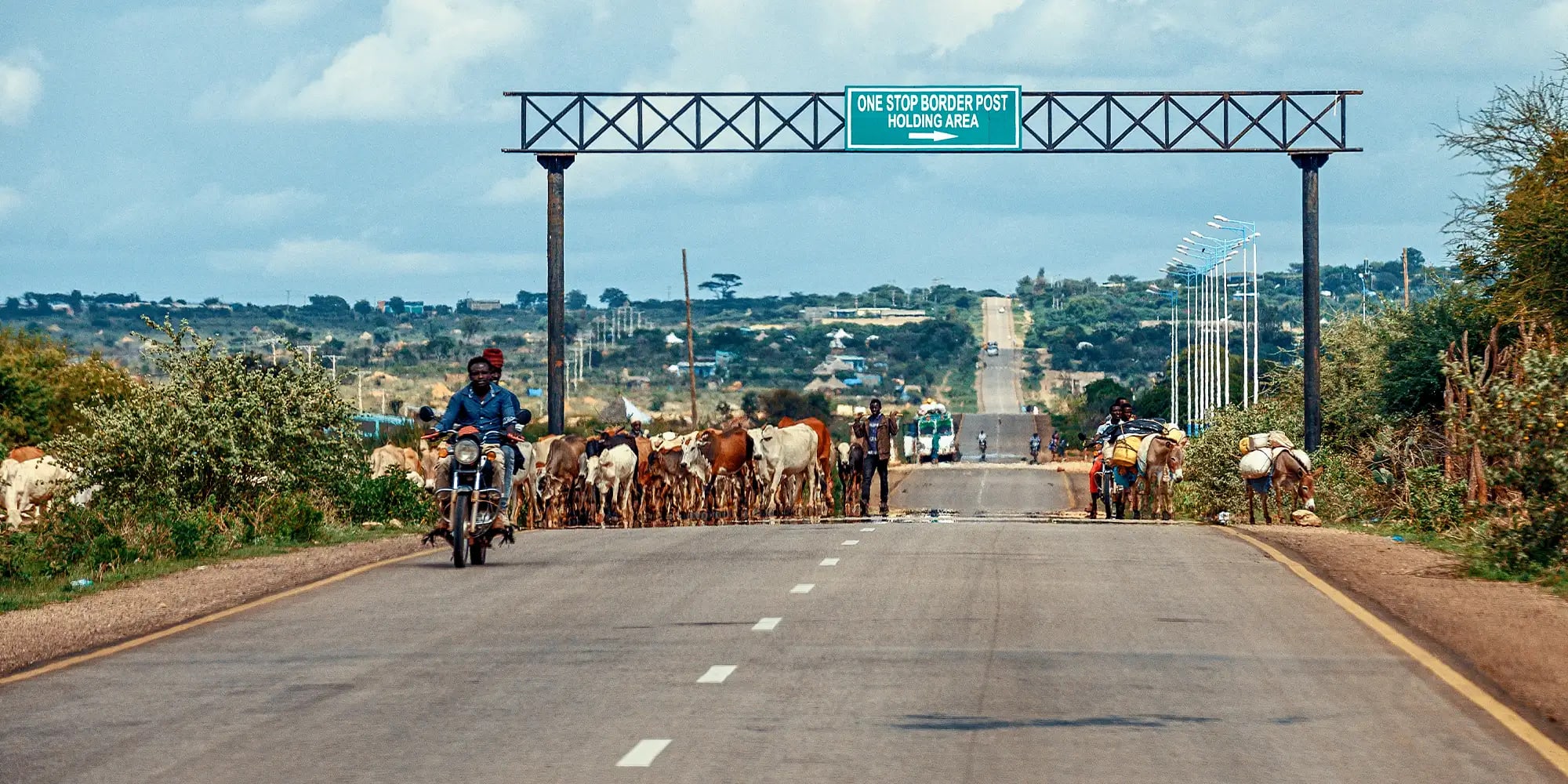 rns field work tigray 16