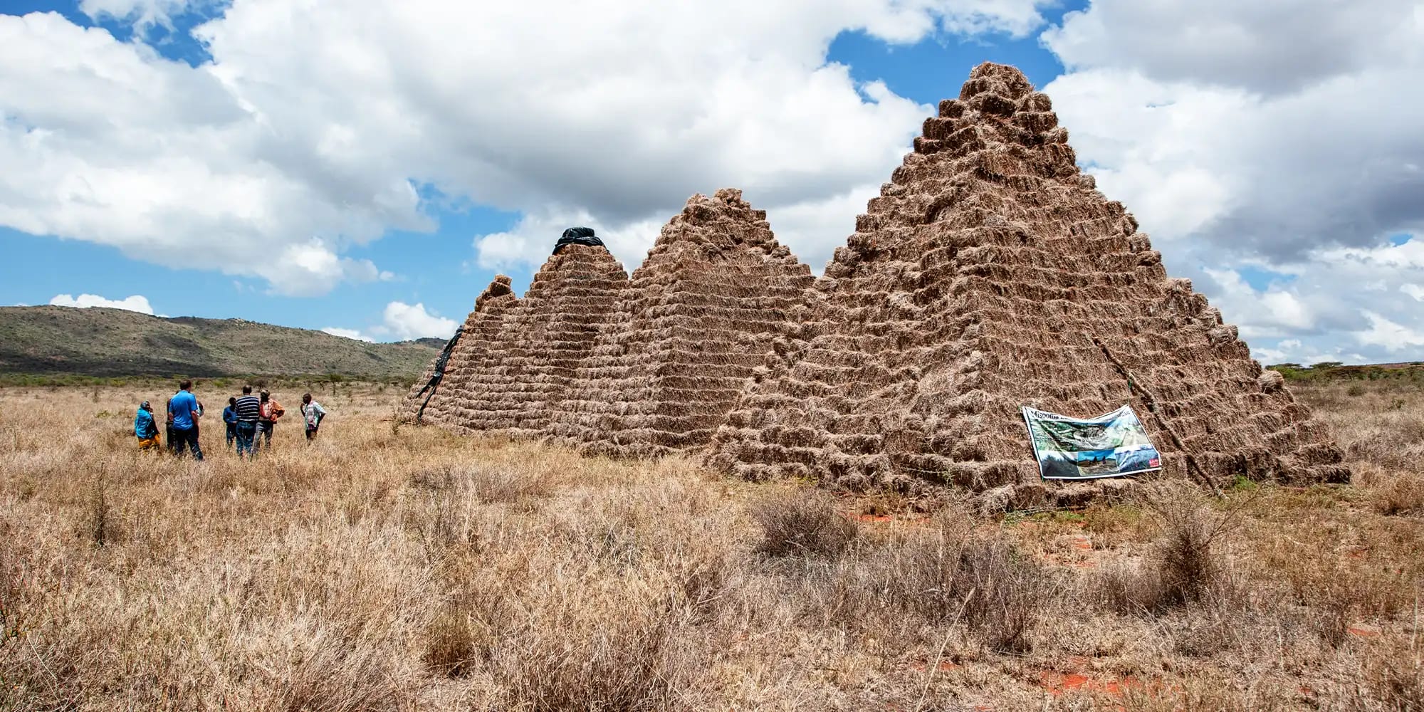 rns field work tigray 12