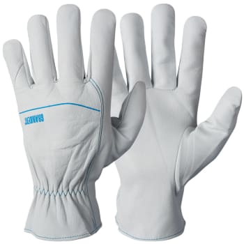 Gloves Assembly, Goatskin