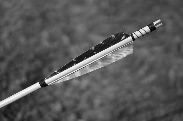 Black and white arrow from a bow