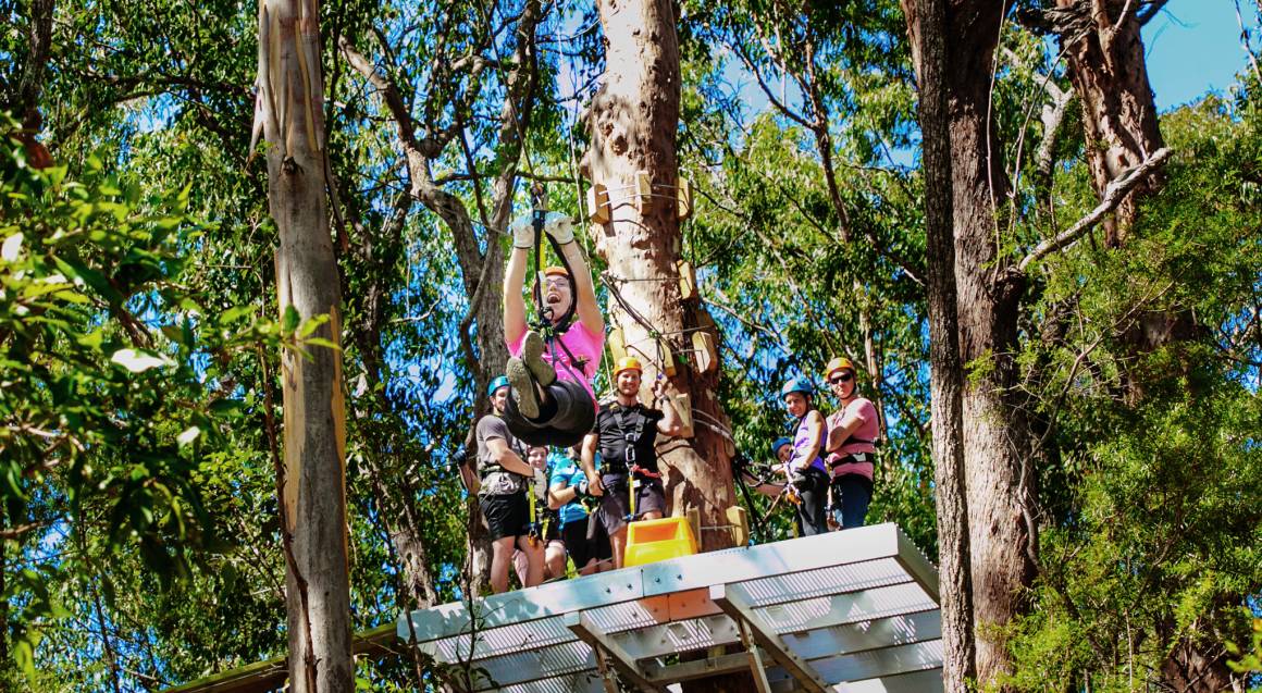 Extreme Zipline Guided Tour Tamborine