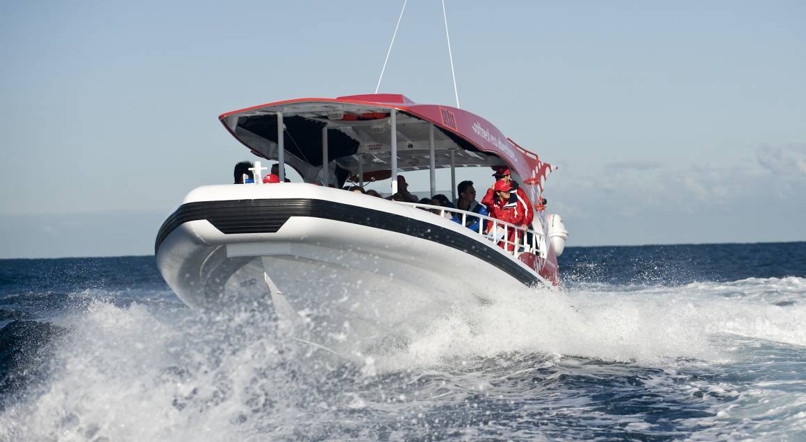 rottnest-island-ferry-and-bike-hire-fremantle