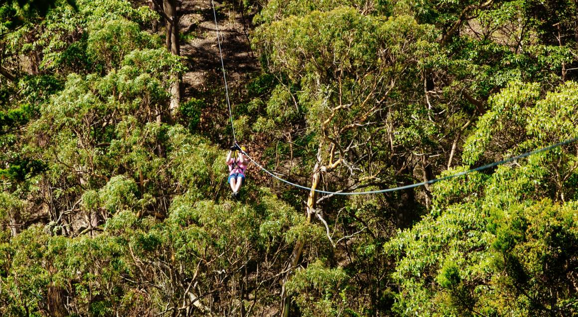 Extreme Zipline Guided Tour Tamborine