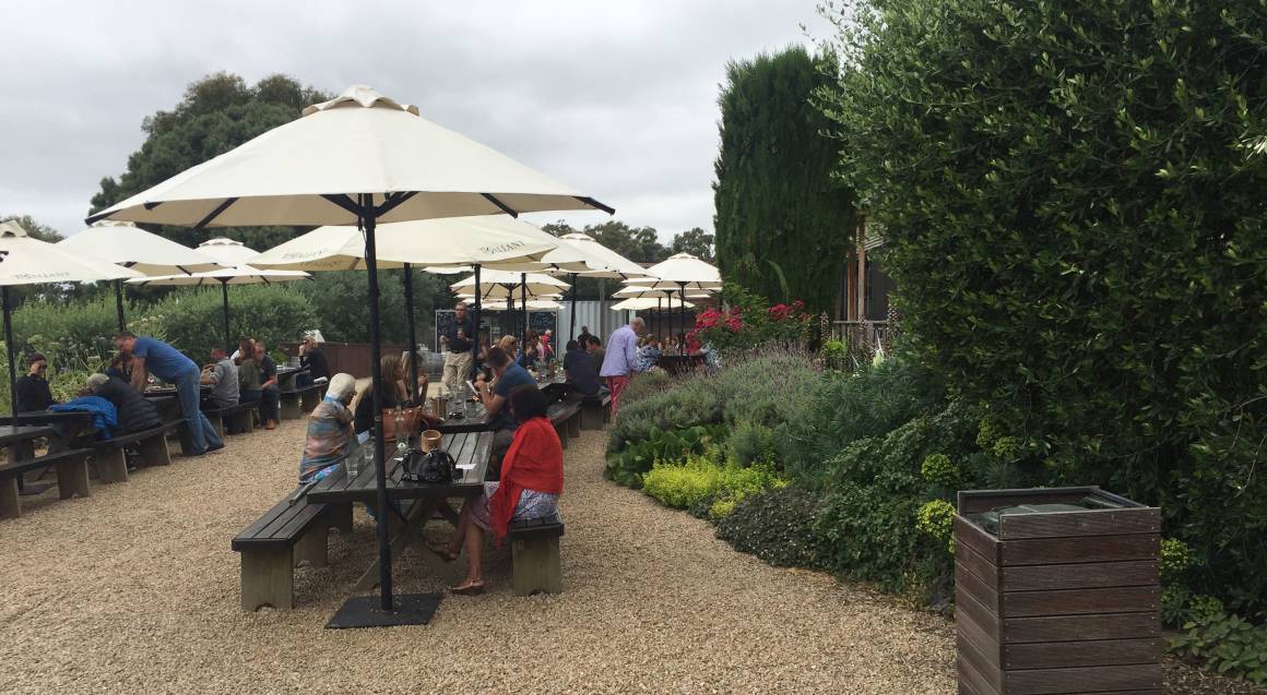 Mornington Peninsula Winery Tour with Lunch and Tastings