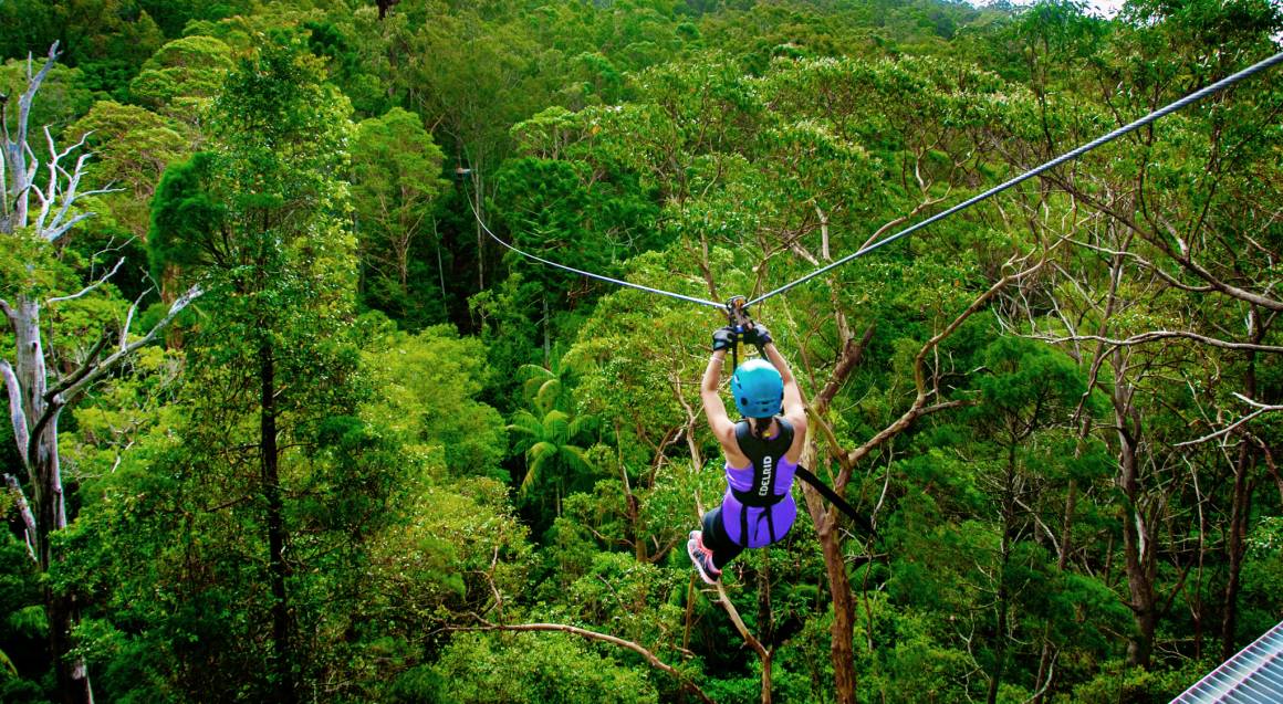 Extreme Zipline Guided Tour Tamborine