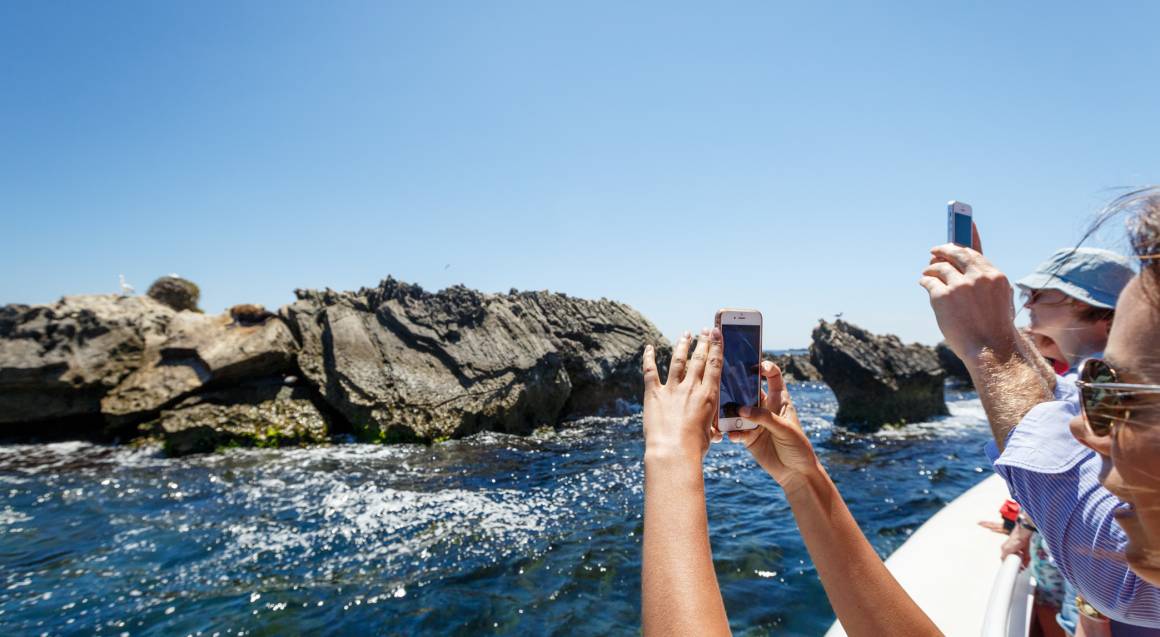 Rottnest Island Ferry and Bike Hire Fremantle