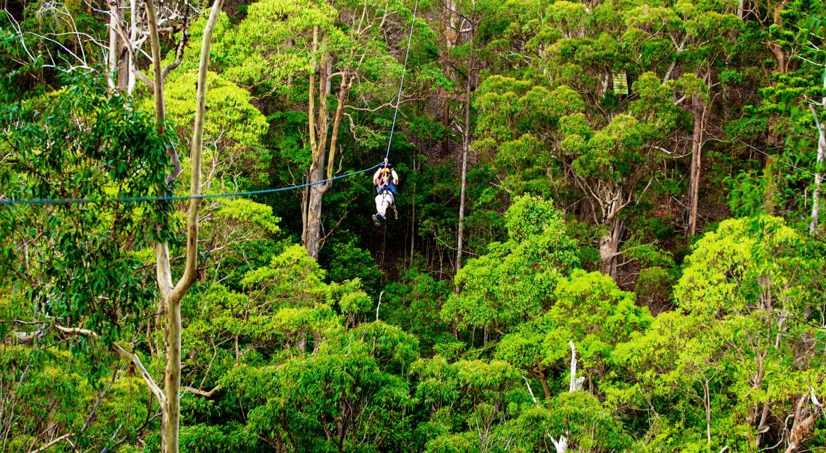 Extreme Zipline Guided Tour Tamborine