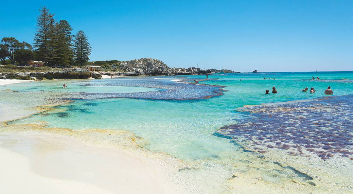 rottnest-island-return-ferry-ticket