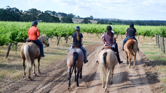 barossa valley horse riding tour