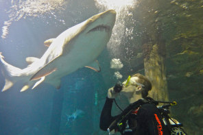 Father’s Day gifts with wow-factor 