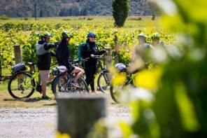 Cycle tours of New Zealand 