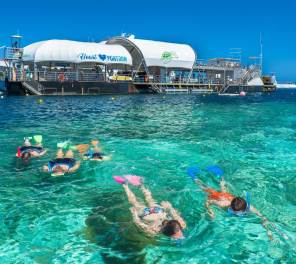 Turtle hatching season on the Great Barrier Reef