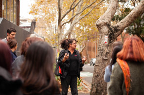  Surry Hills food safari 