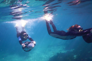 Sydney underwater scooter tour