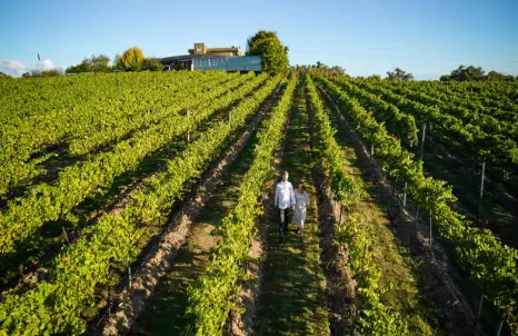 Adventure Experiences