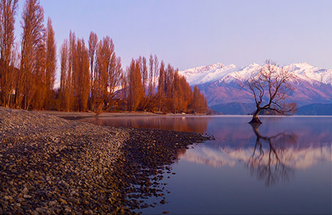 Things to do in Queenstown