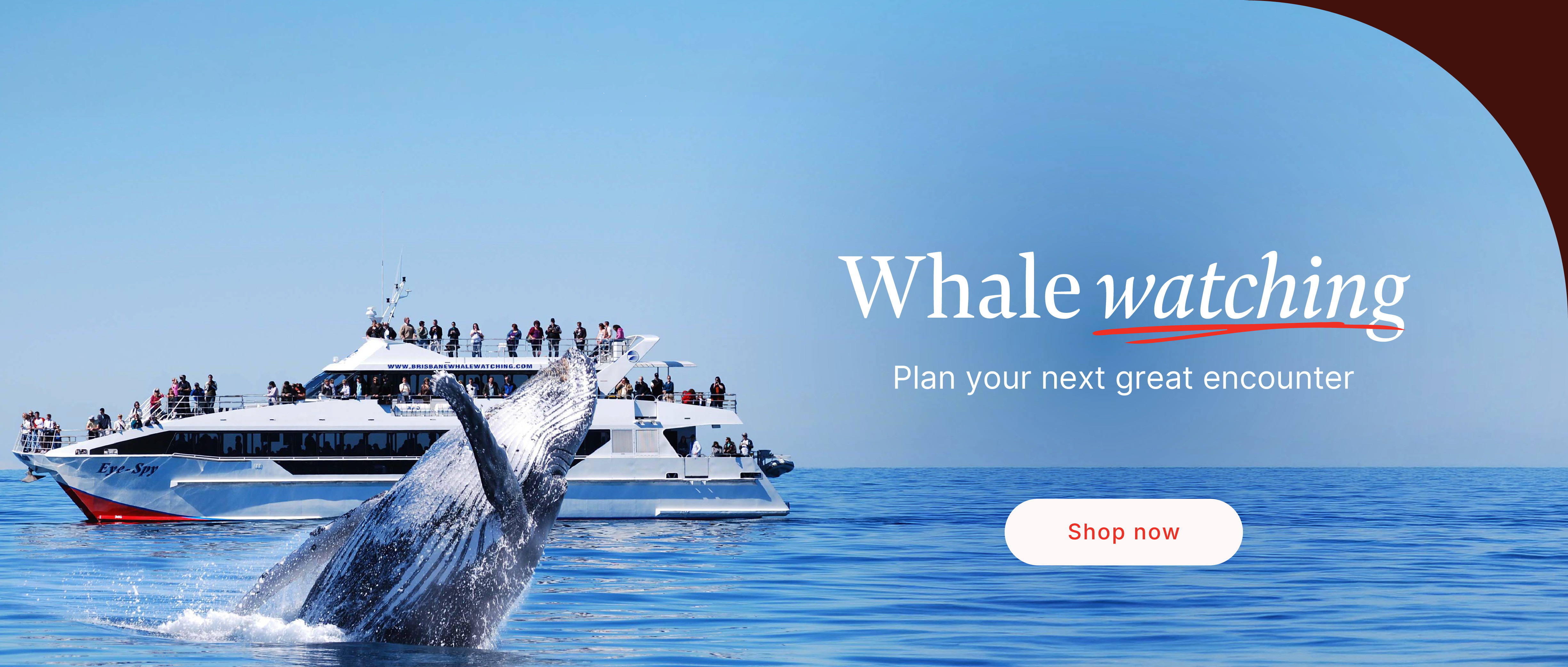 whale-watching
