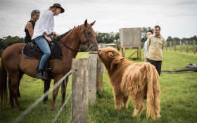 Horse riding tour Byron Bay