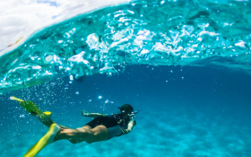 Scuba diving & snorkelling