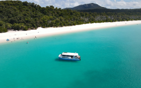 Reef and snorkelling cruises 