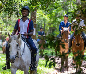 37% Higher Perceived Value