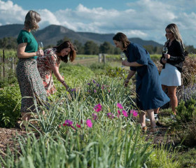 Unforgettable Local Experiences