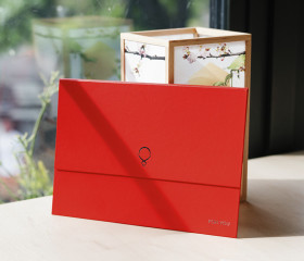 Professional Presentation