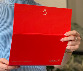 Professional Presentation