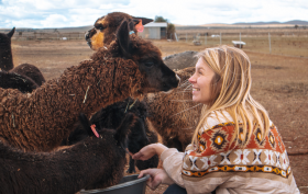 Farm experiences