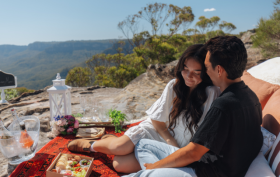 Picnics