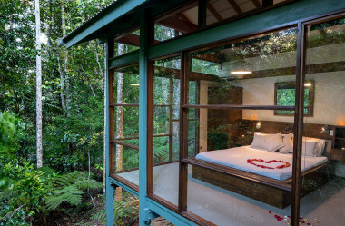 Rainforest retreat