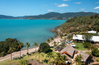 Turquoise water and palm-lined coastline near Airlie Beach, Whitsundays