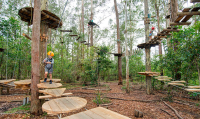 Treetop adventure park