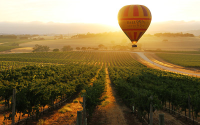 Hot air balloon flying over Barossa Valley