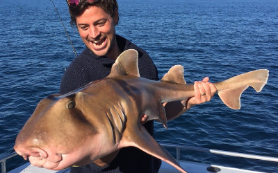 Man holding wobbegong shark