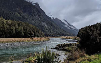 Milford Sound, New Zealand