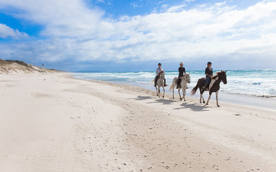 Horse riding along Pakiri Beach