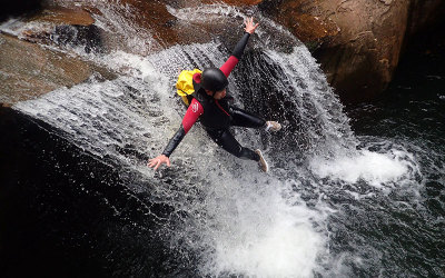 Private rainforest canyoning for two in Albion Park