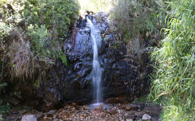 Bushwalking and Waterfall Hike - Mount Lofty Summit