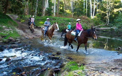 Horse trail ride Central Coast NSW