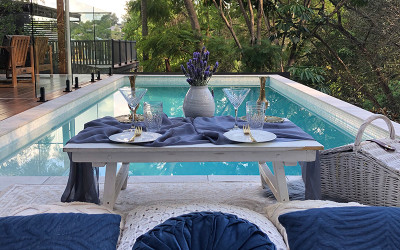 Pop-up picnic in your own home and backyard - Brisbane