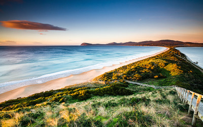 Bruny island day tour from hobart