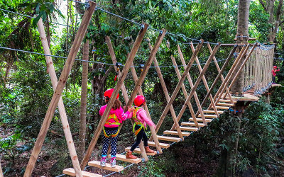 High ropes and zipline adventure Tamborine