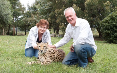 Cheetah encounter at Canberra National Zoo