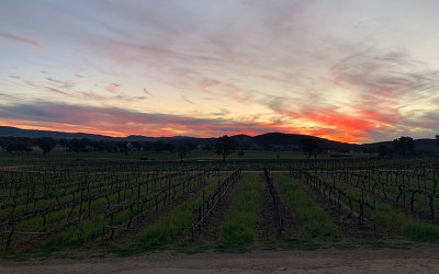 Robert Stein Wines, Mudgee