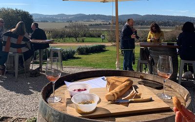 Winery tour in Mudgee, Lowe Family Wines