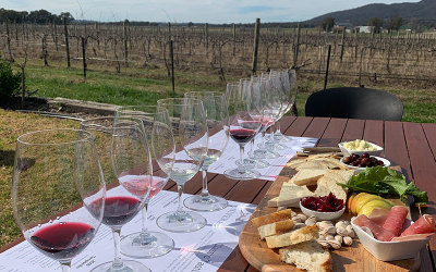 Winery tour and tasting and lunch in Mudgee