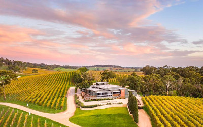 7 course lunch at The Lane Vineyard, Adelaide Hills