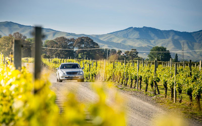 Marlborough afternoon wine tour with tastings