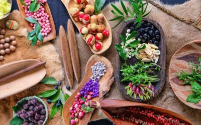 Reconciliation week, guided tour through the Rocks, bushtucker tour in Byron Bay, after dark cruise and canapes